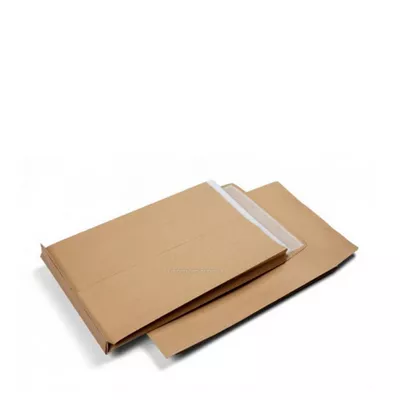 Brown Legal Envelope